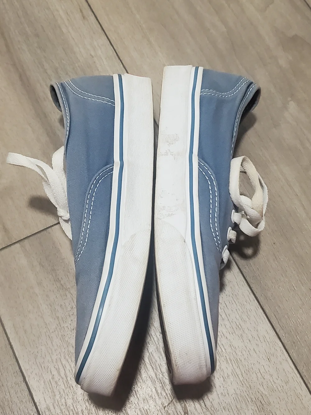 Vans Authentic Low Top Sneakers in Light Blue